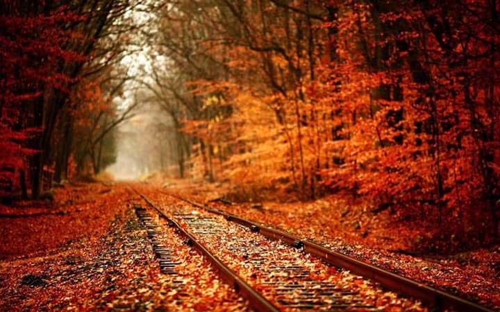 Tunnel of love Ukraine